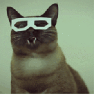 Sqvidvart_Vdengax
