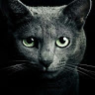 Leonid_Felix