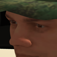 PashokGradick