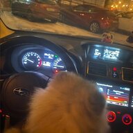 Antoha_Chishka