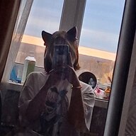 Molly_Murmur