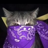 Bedni_Ded