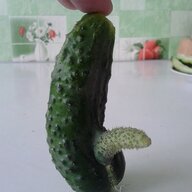 Semen_Qwerty