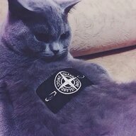 Danya_Auditor