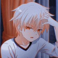 Nikita_Softer