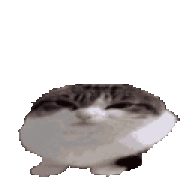 Jesus_Benson