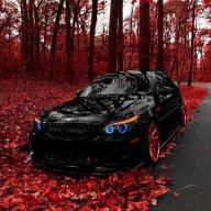 Danil_Gromov
