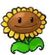 Lilmorty_Murphy