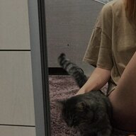 Buldozerny_Kovsh