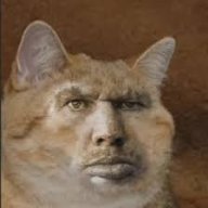 Jon_Papi