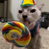 Ivan_Meow