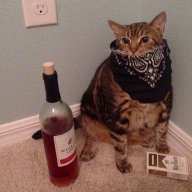This Is Midnight