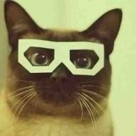 Тимофей Форзо