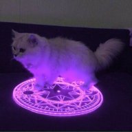 Casper))00