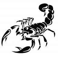skorp141194