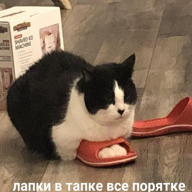 Nani