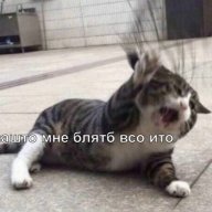 Felix_Reinz