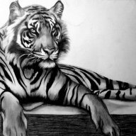 Artem_Wolkov
