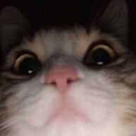 Nikitosiq_Saprano
