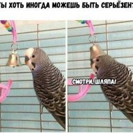 Ринатка