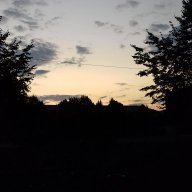 Sasha_Harrisono