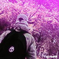 Scandal_Weriqsize