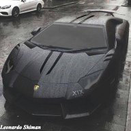 Leonardo_Shiman