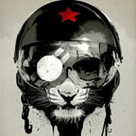 Nikita_Gotkor