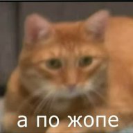 Danil_Vojik