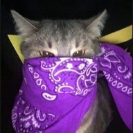 Cody_Outside