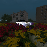 Stasyan_Parktronic