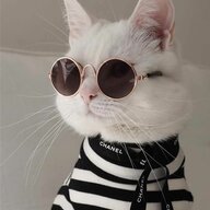 Dmitry_Babinov