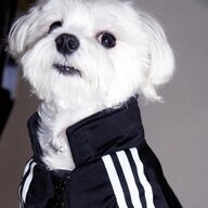 Artem_Kachkovvv