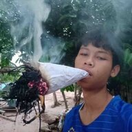 Shemok