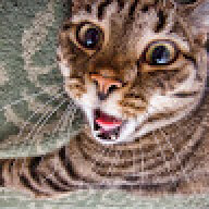 Connor_Mouse