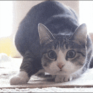 Richard_Boychuk