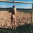 Prince_Lorenso