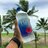 Richman_Shaitanov