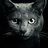 Leonid_Felix