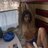 Patrick_Demob