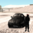Cristopher_Sword