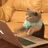 Nosoft_Player