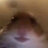 Stepan_Lorenzo
