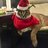 Hans_Gudarian