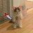 Maxim_Forber