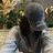 Kenny_Radrigez