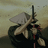 Logan_Nixware