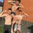 Grisha_Brown
