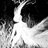 Shadow_Scamer