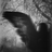 Feathy_Instlyx
